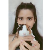 Photos de Katelyn Zhang