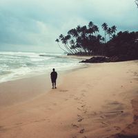 Фотографии пользователя Calvin Photo