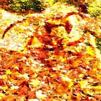 Carsten Schmidt's Photo