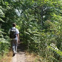 Lothar Schiemanowski的照片