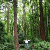 Fotos de Pepeco Z Gtz