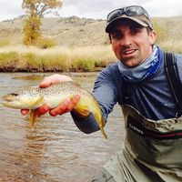 Mark Phipps的照片