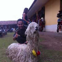 Фотографии пользователя Etai Hanan