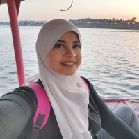 Lamia A. Nasr的照片