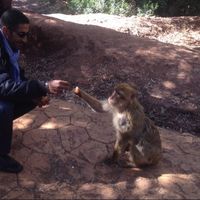 Moulayrachid Elmyar的照片