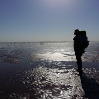 Hasan Ashuri的照片