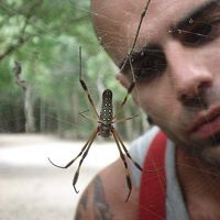 Unai Clemente的照片