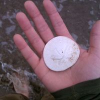 Le foto di Matt McLain