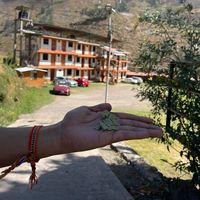 Evelyn altamirano的照片