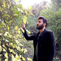 Amit Toledo的照片