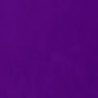 Maximo Saldana-Guerra的照片