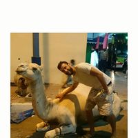 Navid  Emadzadeh的照片