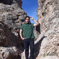 masoud zolfi的照片