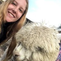 Фотографии пользователя Hannah Speer