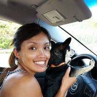 Randi Zucchino's Photo