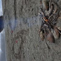 Elise Couillard's Photo