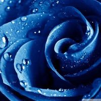 Uuduu Bolormaa的照片