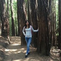 Jennifer Lu的照片