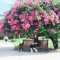 Fotos de Đỗ Tuyết