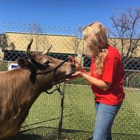 Sandri Jonker的照片