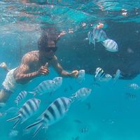 Lance Erikson的照片