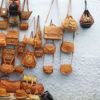 Sarah Serhani's Photo