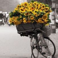 Hussain  Ali的照片