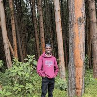 Joseph Njihia的照片