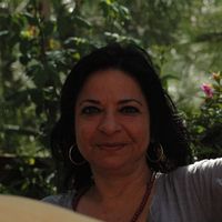 güneş kurtulan的照片