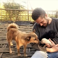 Jack Fereday的照片