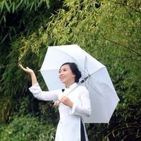 Lan Vien Phan的照片