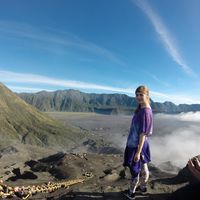 Sue Ben-Senyor的照片