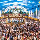 From Venice to Oktoberfest and back - LAST SECOND's picture