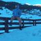 Photo of C