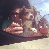 Fotos de Brian Bolotin