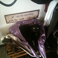 Katharina Vasarhelyi's Photo