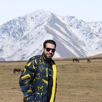 Muhammad Shahbaz的照片