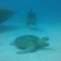 Jure Eberlinc's Photo