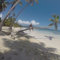 Alex Bertoluchi的照片