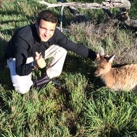 Fotos de Carmine Di Napoli