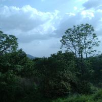 Abhinav Chaturvedi的照片