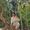 Dan Rong's Photo