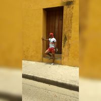 Johann Pole的照片