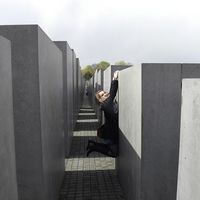 Photos de Alice Buisson