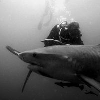 Chucky Swarts's Photo