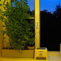 Cristóbal - Sabrina  Villablanca的照片