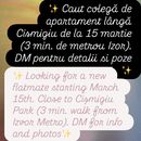 Looking a New Flatmate's picture