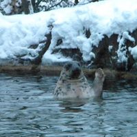 Constantin Stan's Photo