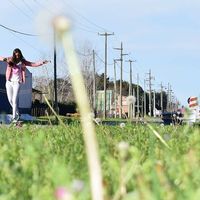 Belu Zuccarelli的照片