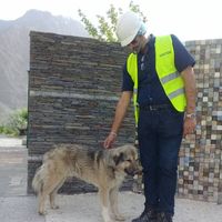 Aamir Jessani's Photo